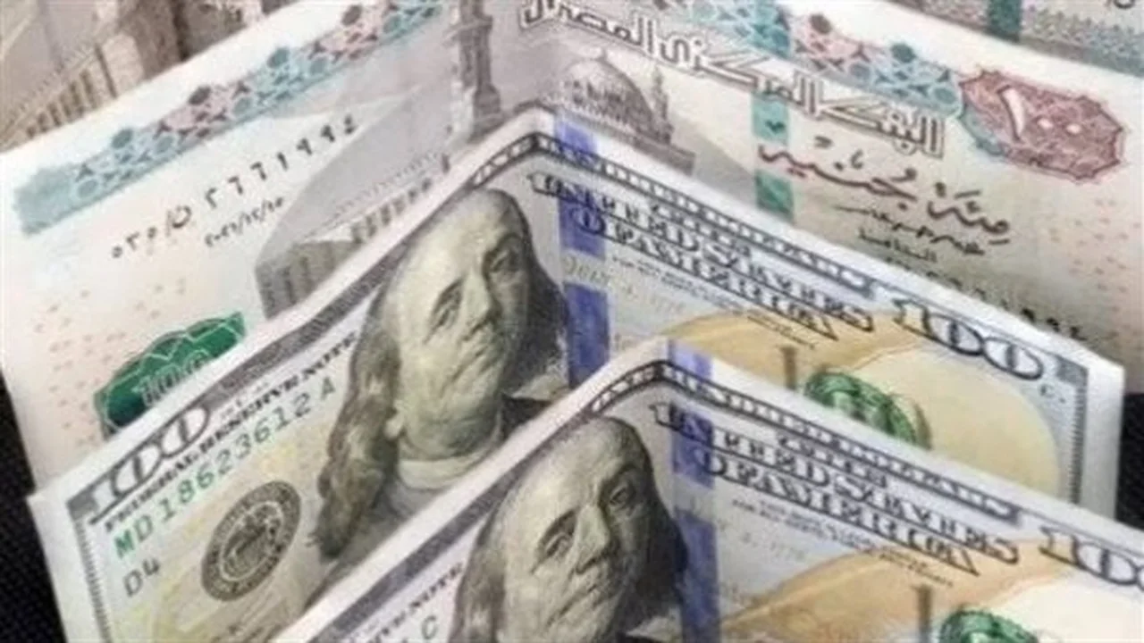 سعر الدولار يتجمد اليوم: ما هي توقعات المستقبل القريب؟